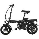دوچرخه برقی 48 ولت گرین لاین Green Lion Electric Bike GBK-100 a thumb 2
