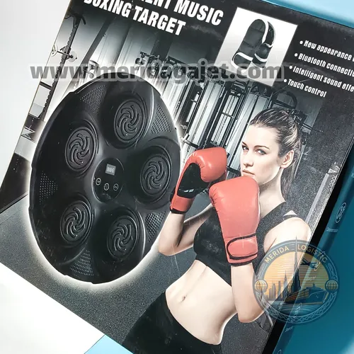 دستگاه بوکس هوشمند با موزیک Smart Music Boxing Machine