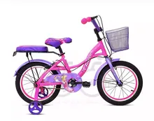 دوچرخه دخترانه سایز 16 کد 2024.برند آنیسا  gallery1