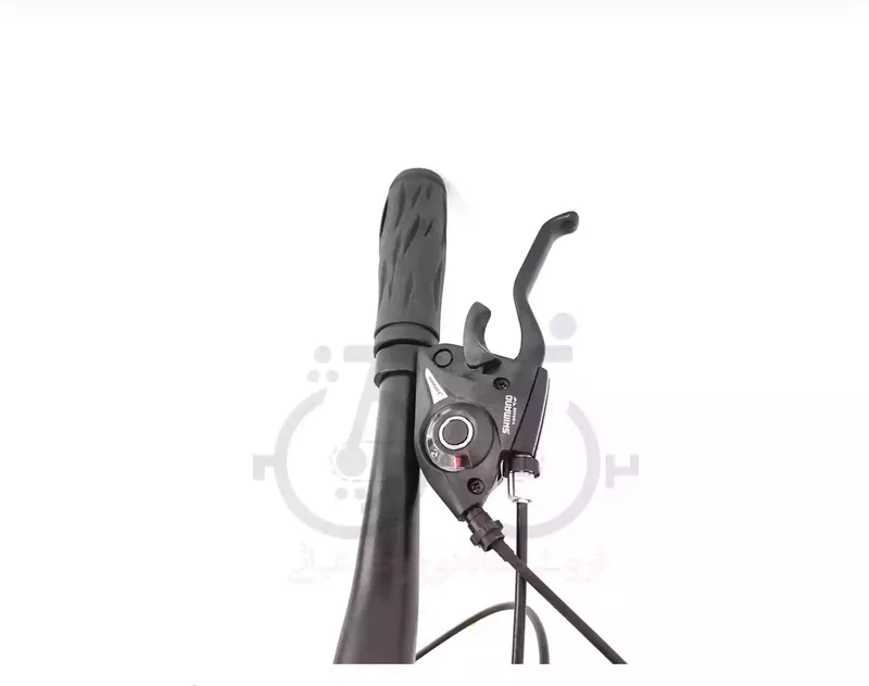 دوچرخه سایز 20 کوهستانی بدنه منیزیوم رینگ اسپرت کد SD.برند ALENMAX.آلنمکس gallery6