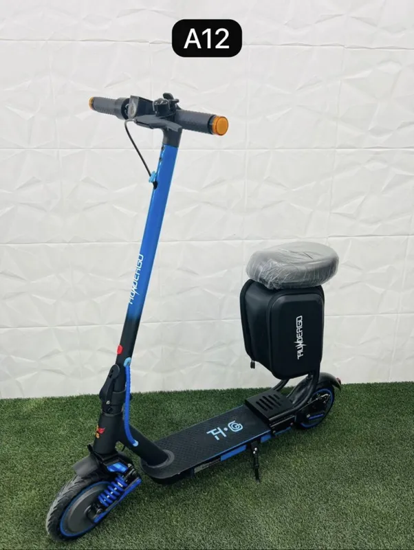 اسکوتر برقی برند آستر مدل ASTER A12 gallery1